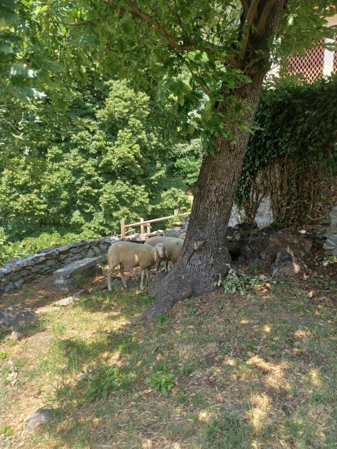 Agroturismo Open Cascina